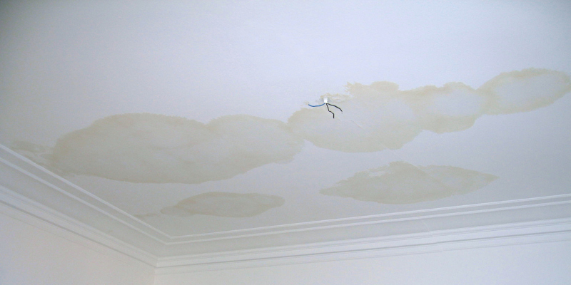 How to Improve Your Home’s Moisture Control