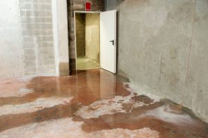 Managing Water Intrusion in Your Home